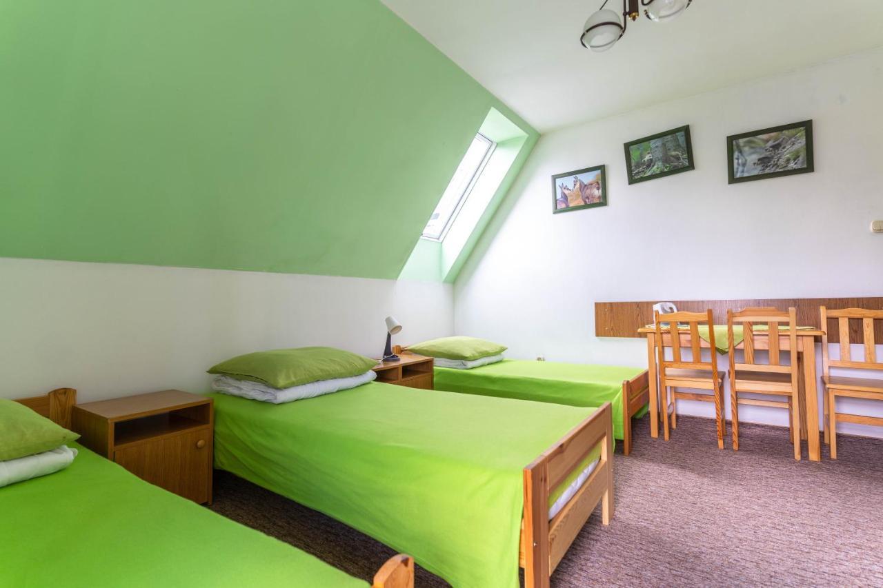 Albergue Miedzynarodowe Schronisko Mlodziezowe Ptsm Szarotka Zakopane Exterior foto